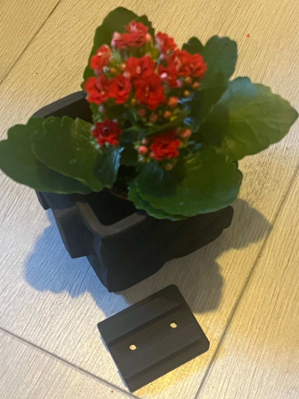 Muur bloempot met ophang mogelijkheid