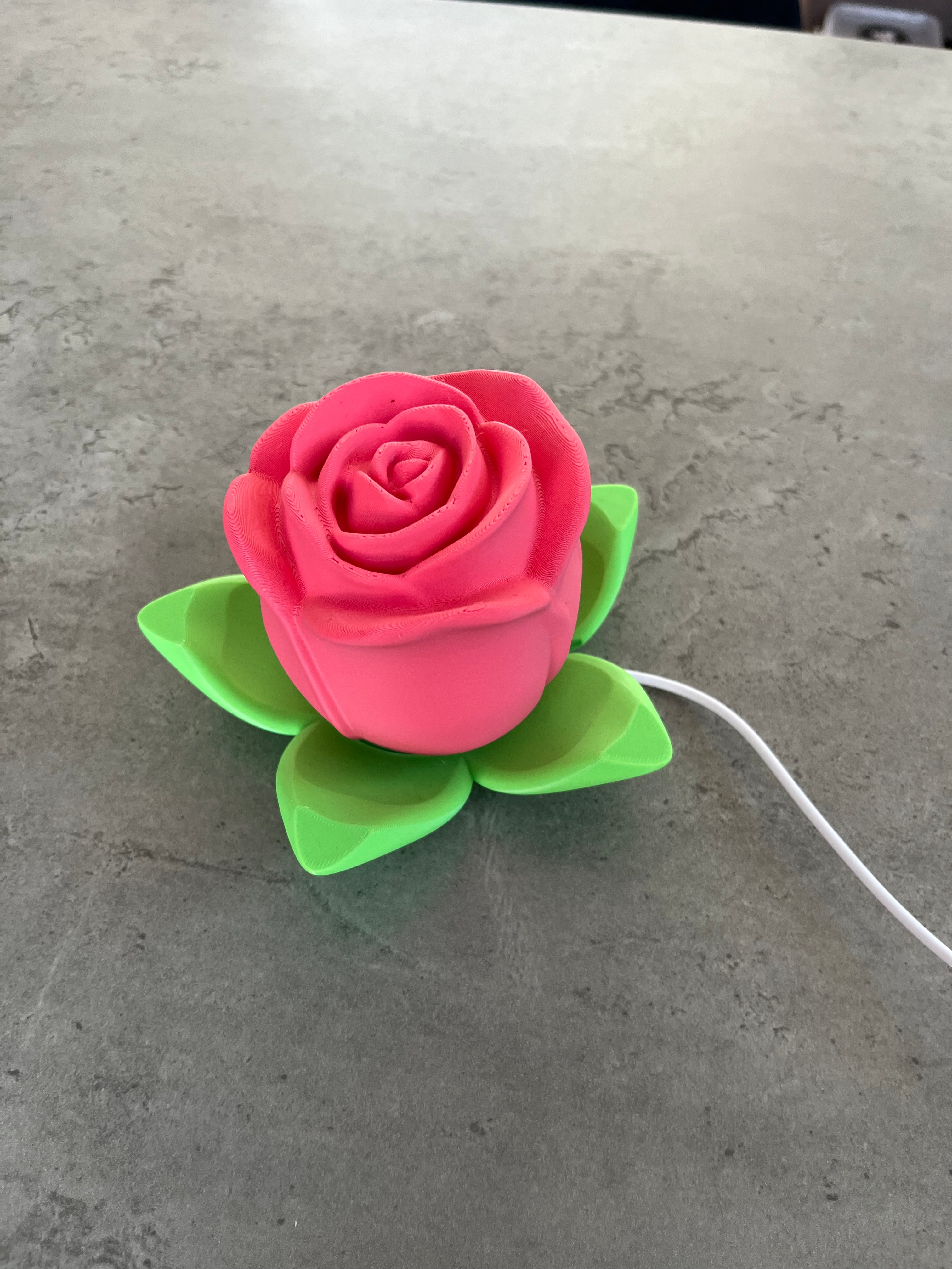 Rozen lamp