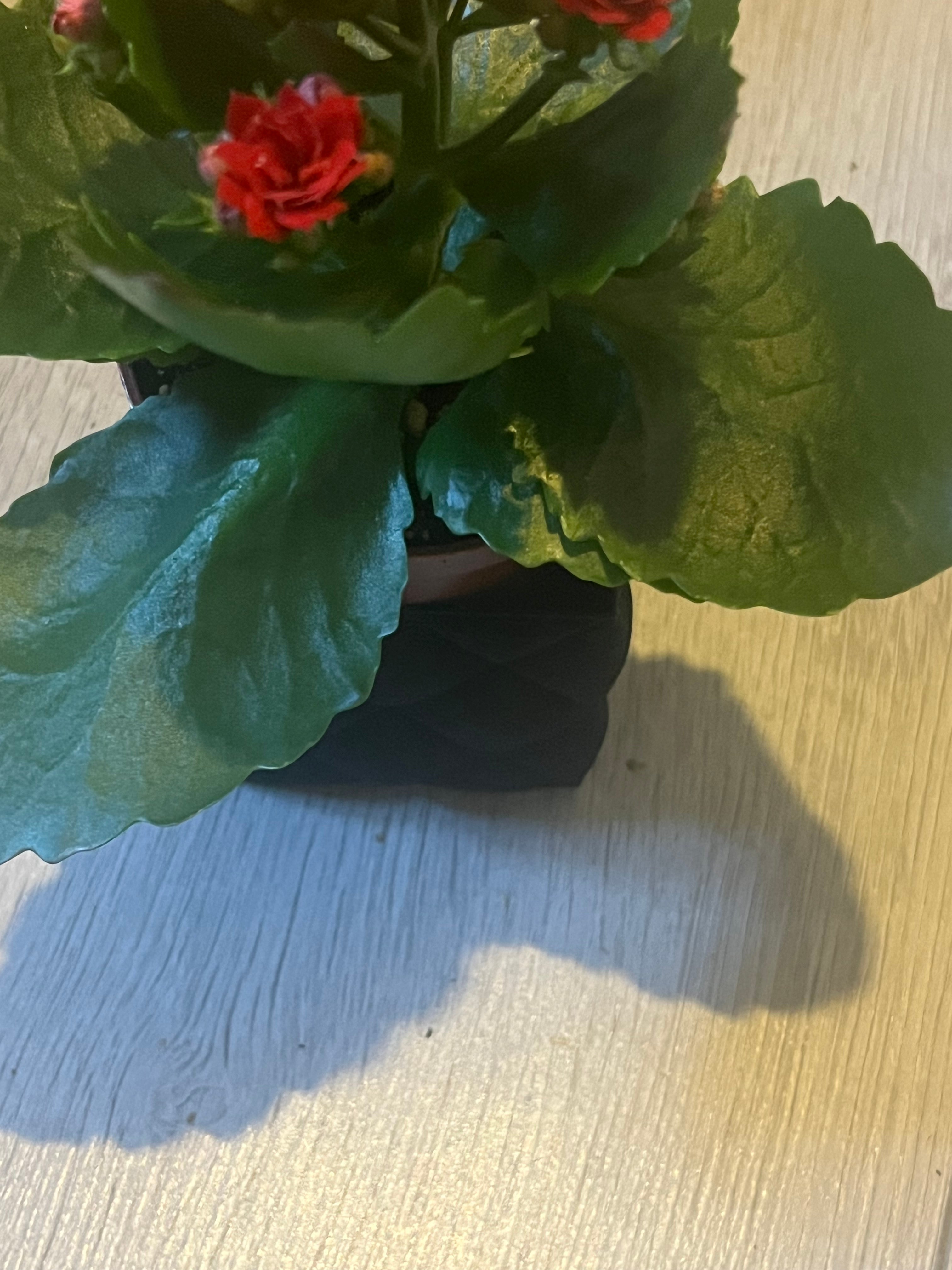 Bloempot